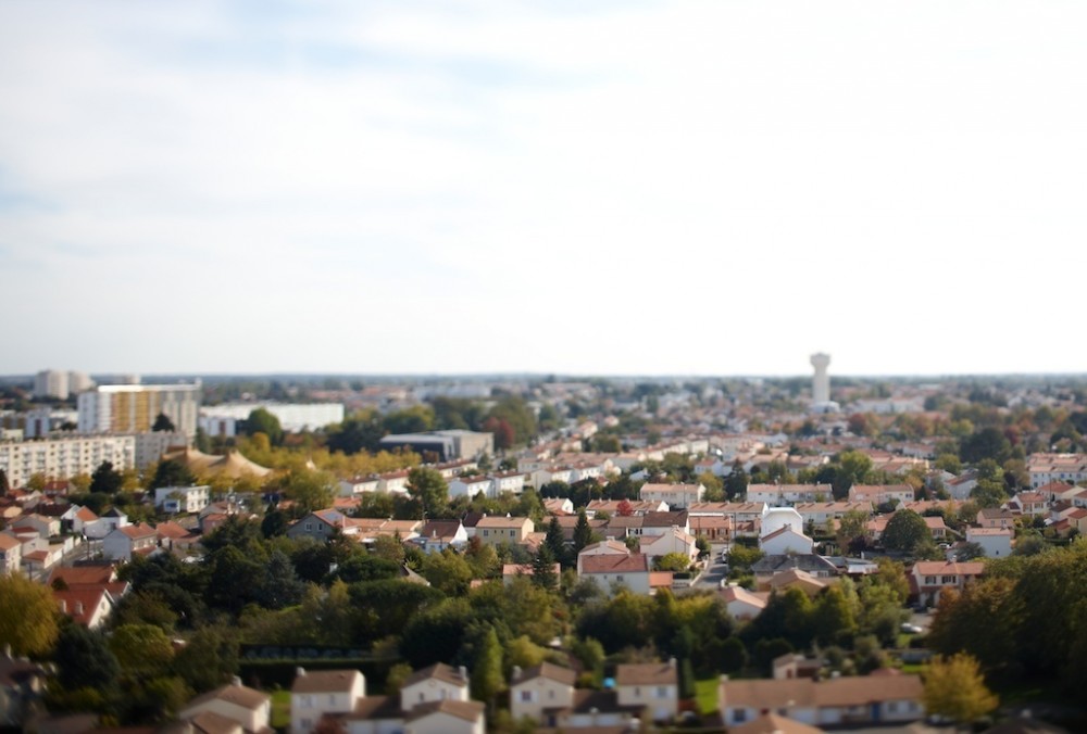 491651_24.jpg.jpg