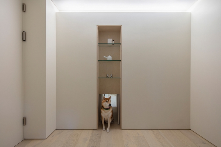 resize,w_760.jpg