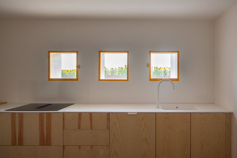 resize,w_760.jpg