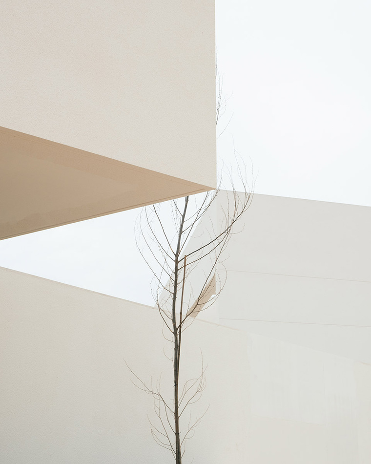 resize,w_760.jpg