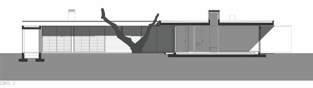 254235_5.jpg.jpg