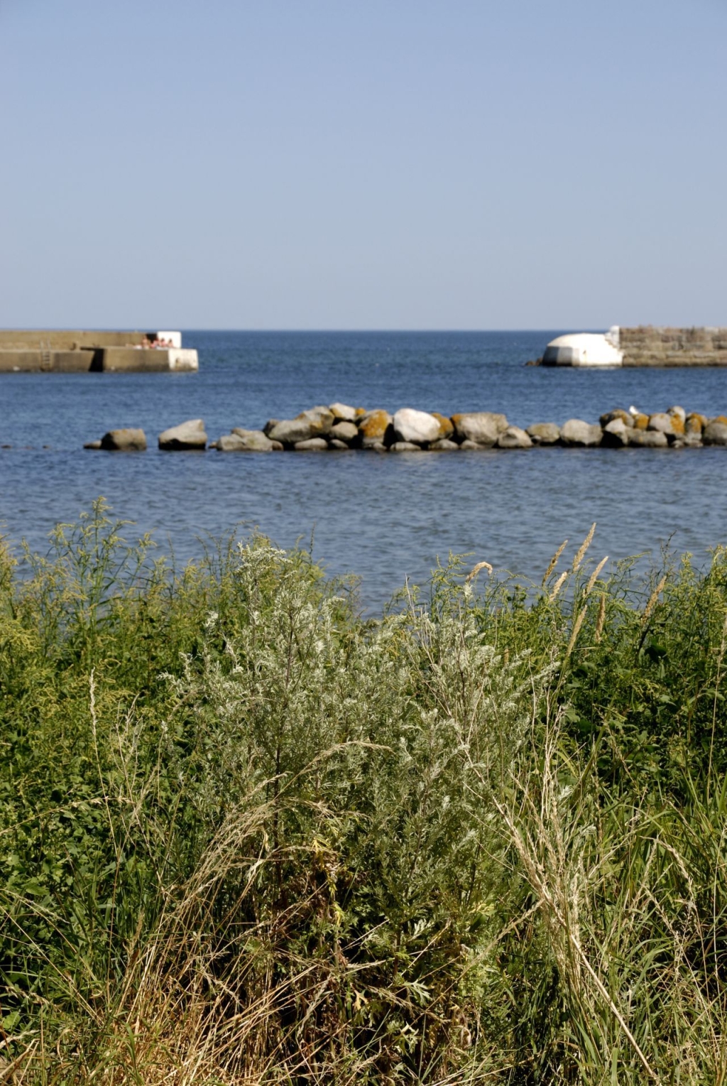 093004vpbhyfkrefuad25m.jpg.jpg