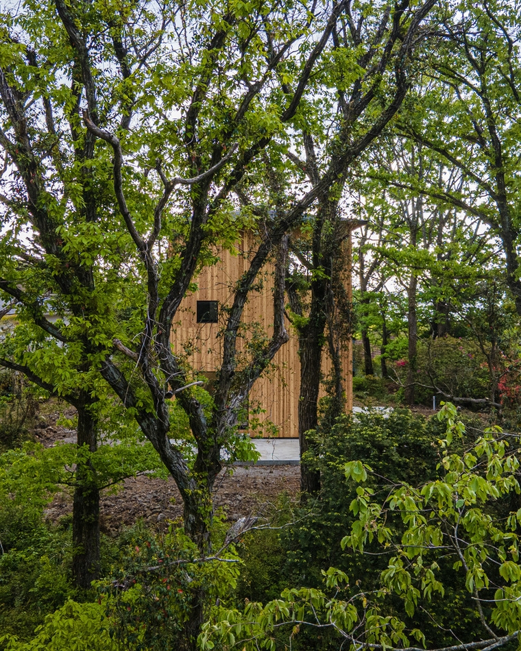resize,w_760.jpg