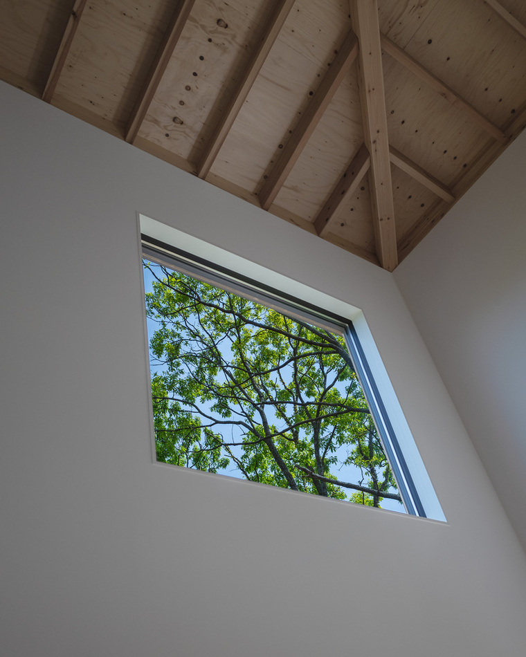 resize,w_760.jpg
