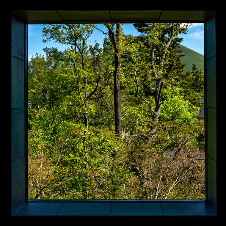 resize,w_760.jpg