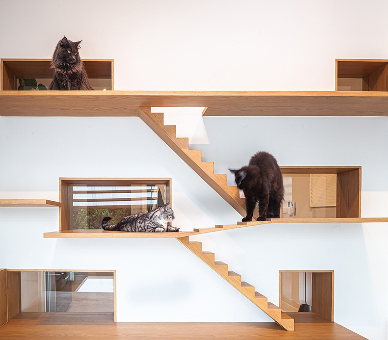 resize,w_760.jpg
