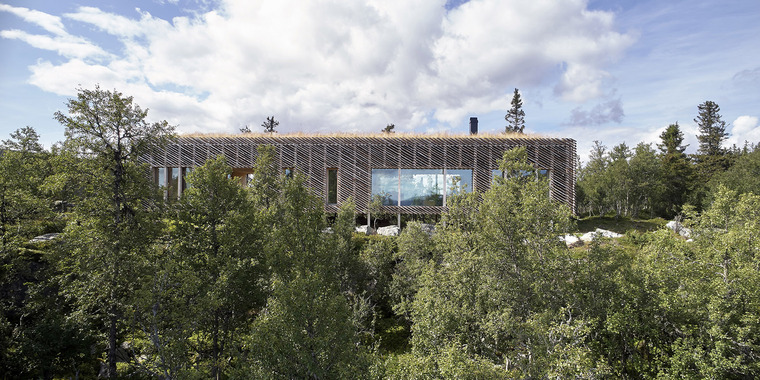 resize,w_760.jpg