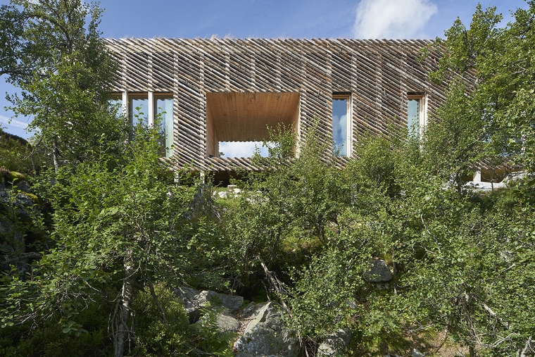 resize,w_760.jpg