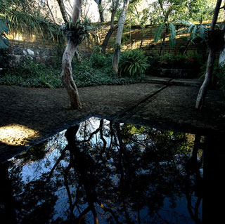 114977_7.jpg.jpg