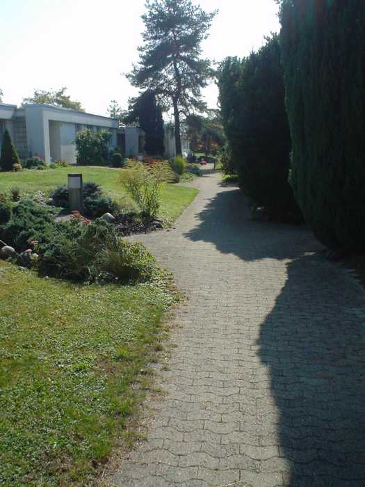 237339_3.jpg.jpg