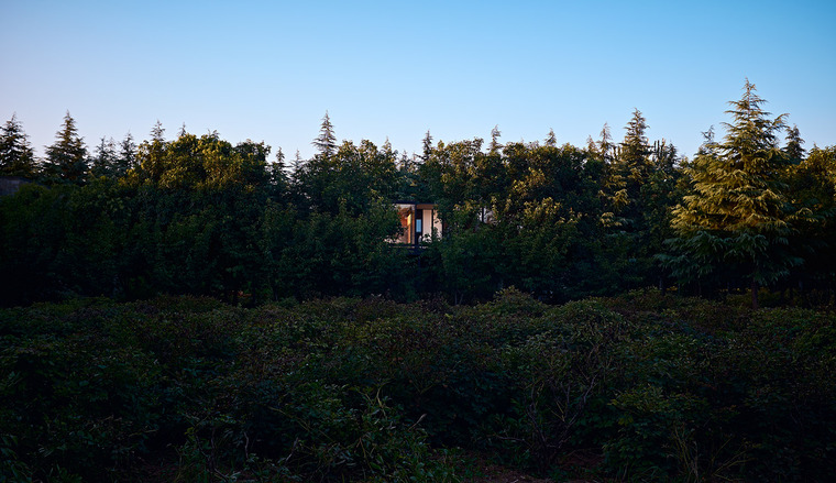 resize,w_760.jpg
