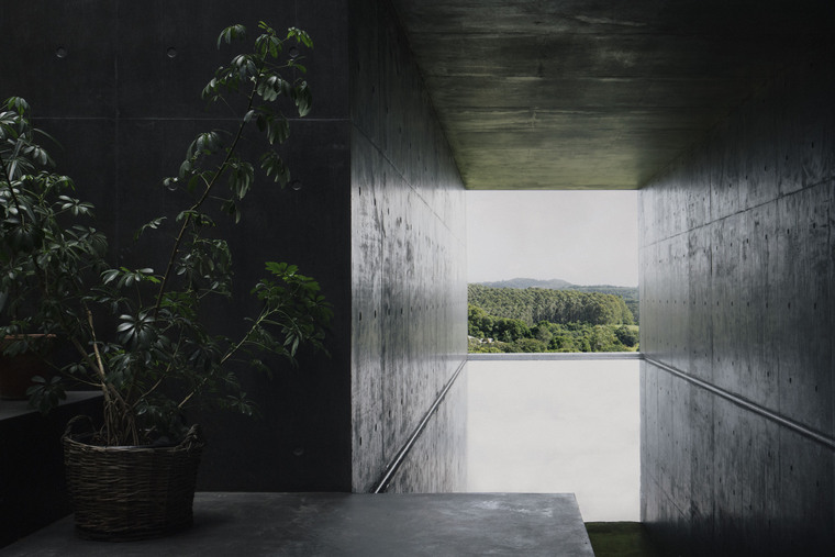 resize,w_760.jpg