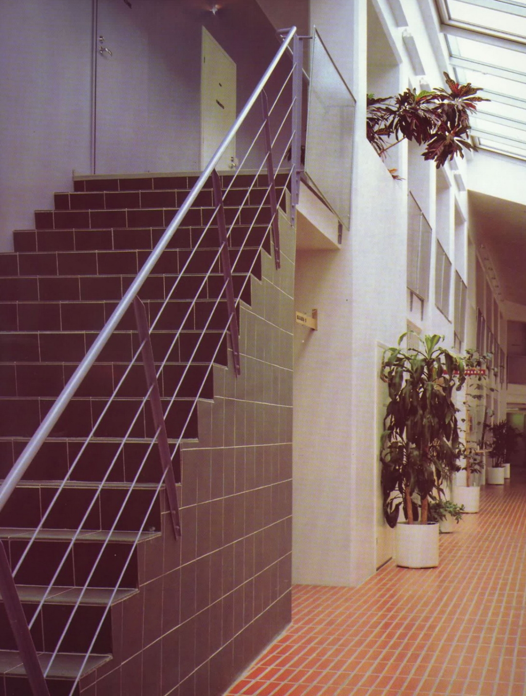 89067_1.jpg.jpg
