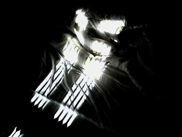 242659_18.jpg.jpg