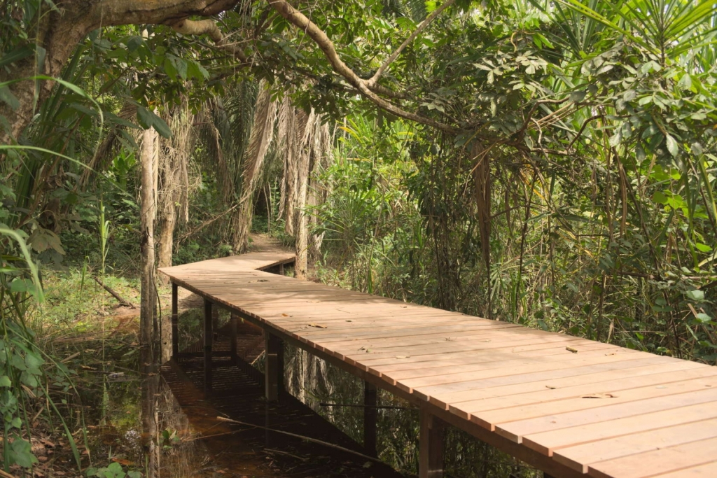 1547454aedqfhtlwkdxehg.jpg.jpg