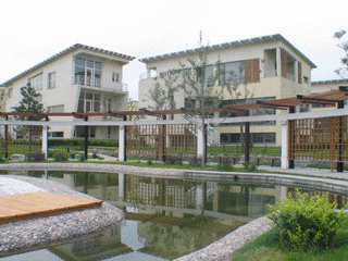 177179_1.jpg.jpg