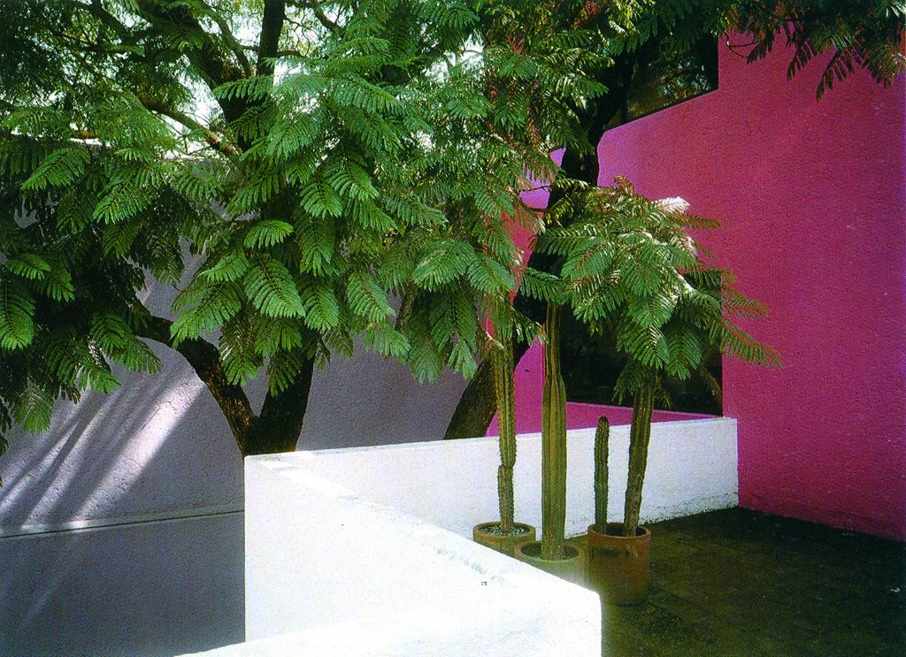3394_6.jpg.jpg