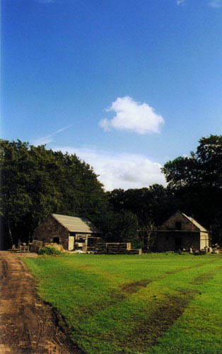 455943_2.jpg.jpg