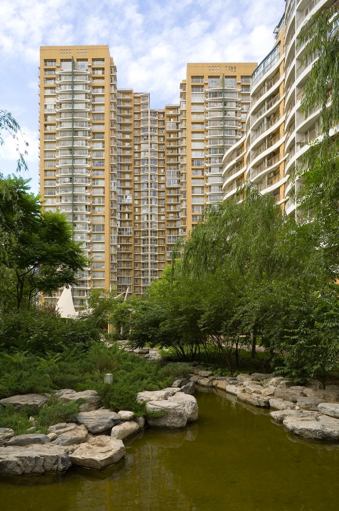 537854_1.jpg.jpg