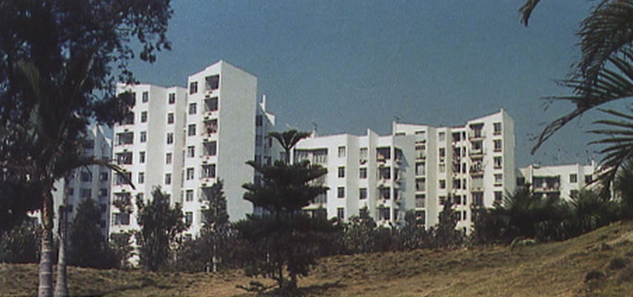270021_2.jpg.jpg