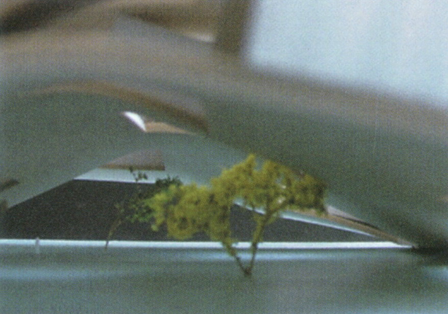 64649_14.jpg.jpg
