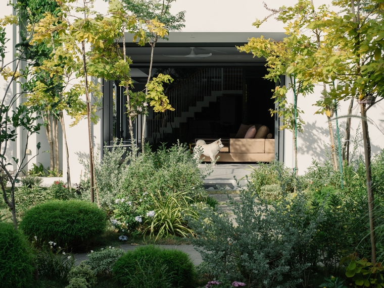 resize,w_760.jpg
