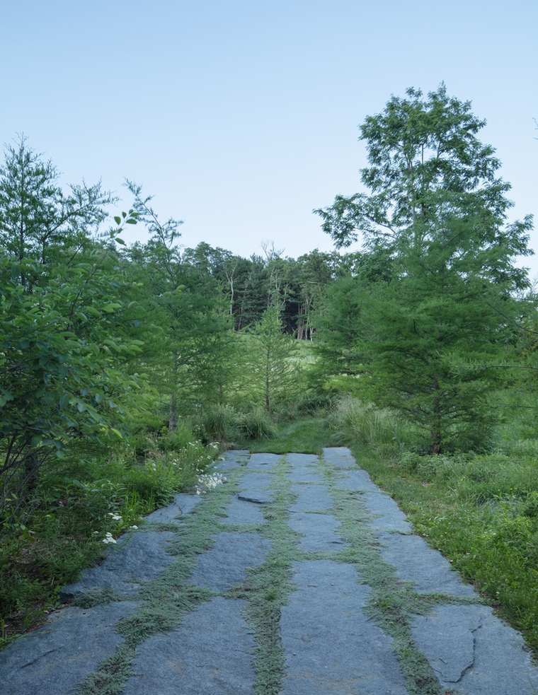 resize,w_760.jpg