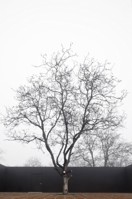 222528_11.jpg.jpg