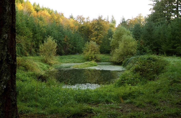 resize,w_760.jpg
