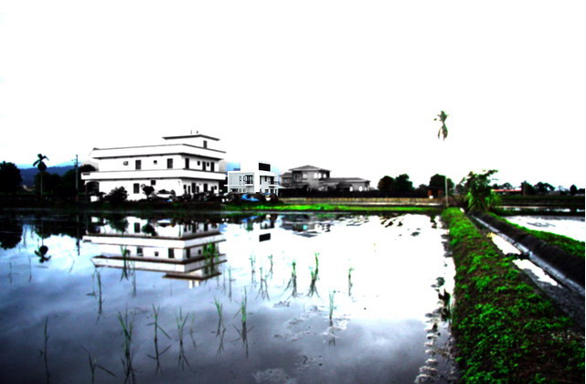 719925_6.jpg.jpg