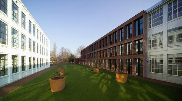 251567_6.jpg.jpg