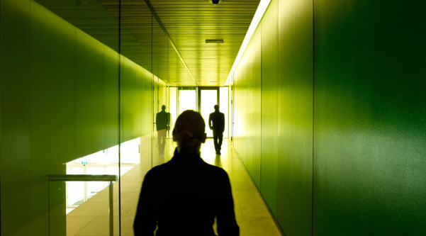 251500_7.jpg.jpg