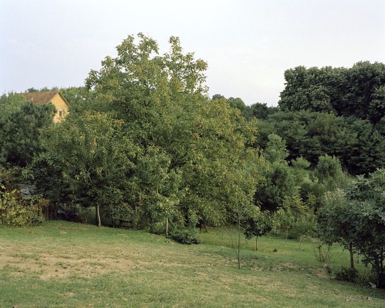 resize,w_760.jpg