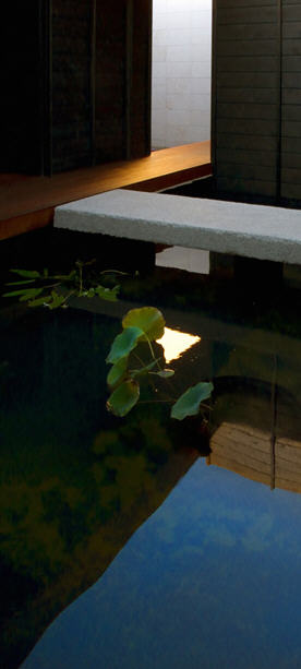 359672_14.jpg.jpg
