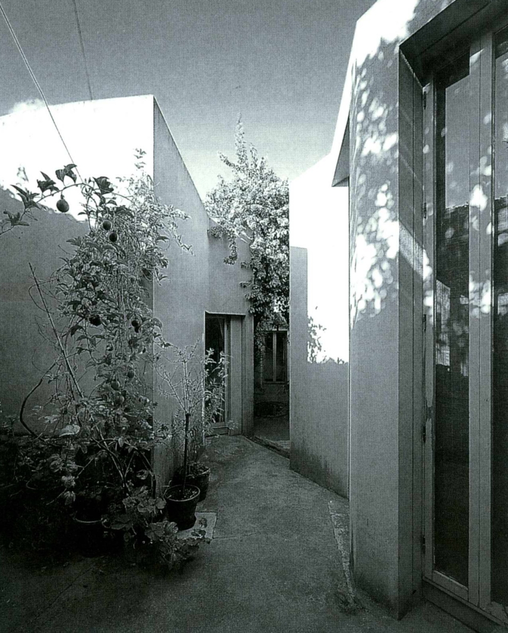 65259_12.jpg.jpg