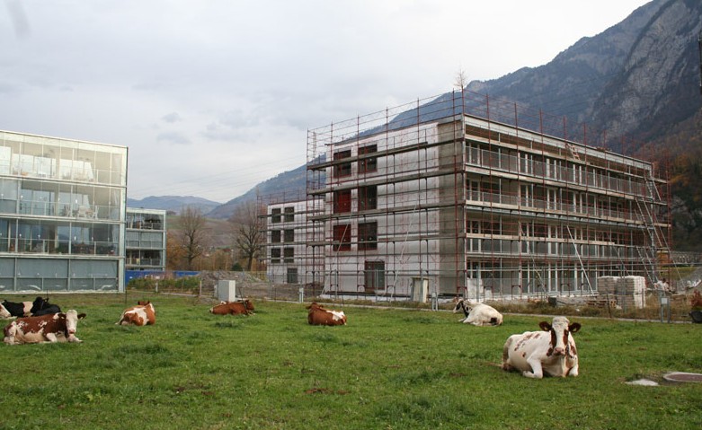 459473_12.jpg.jpg