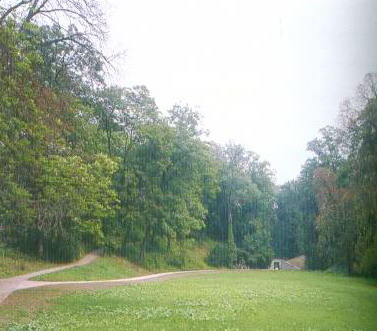 77258_5.jpg.jpg