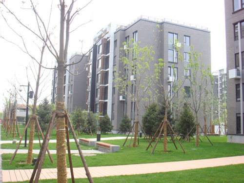 180053_6.jpg.jpg
