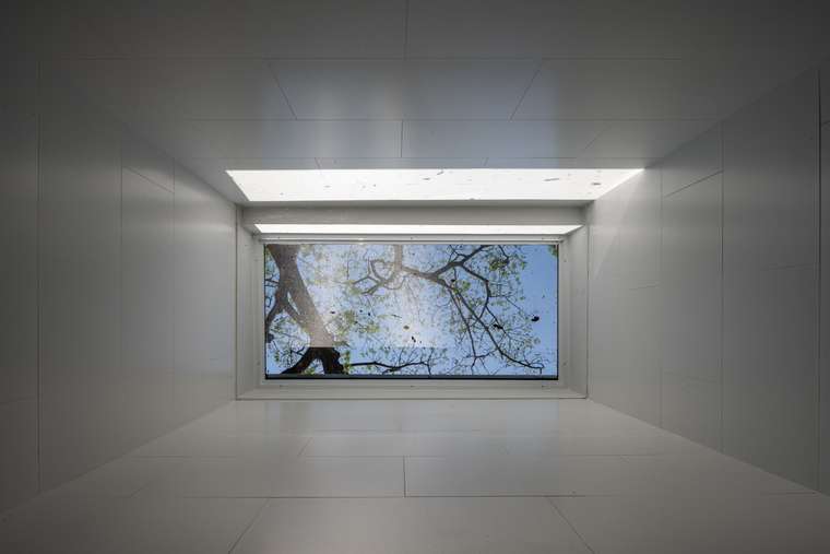 resize,w_760.jpg