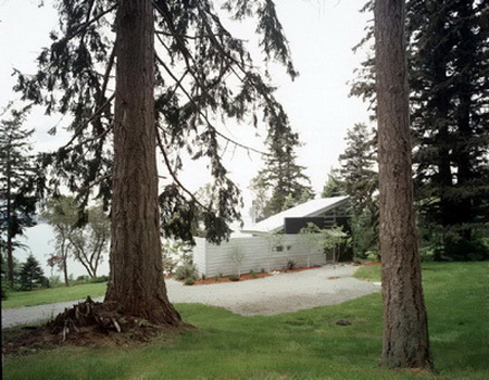 401565_2.jpg.jpg