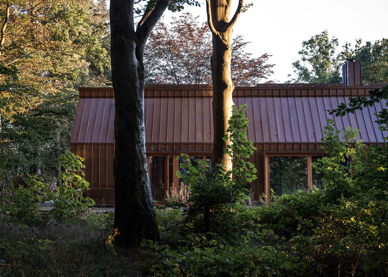resize,w_760.jpg