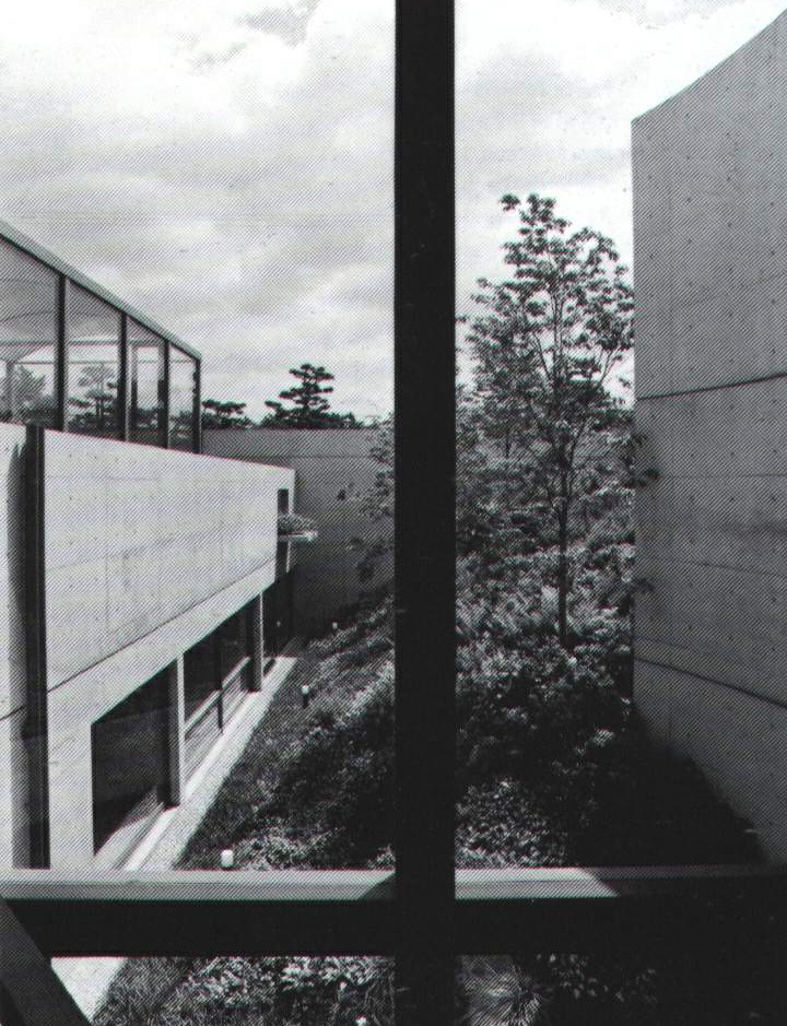 78601_10.jpg.jpg