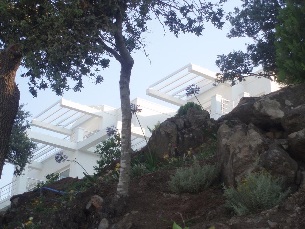 272116_5.jpg.jpg