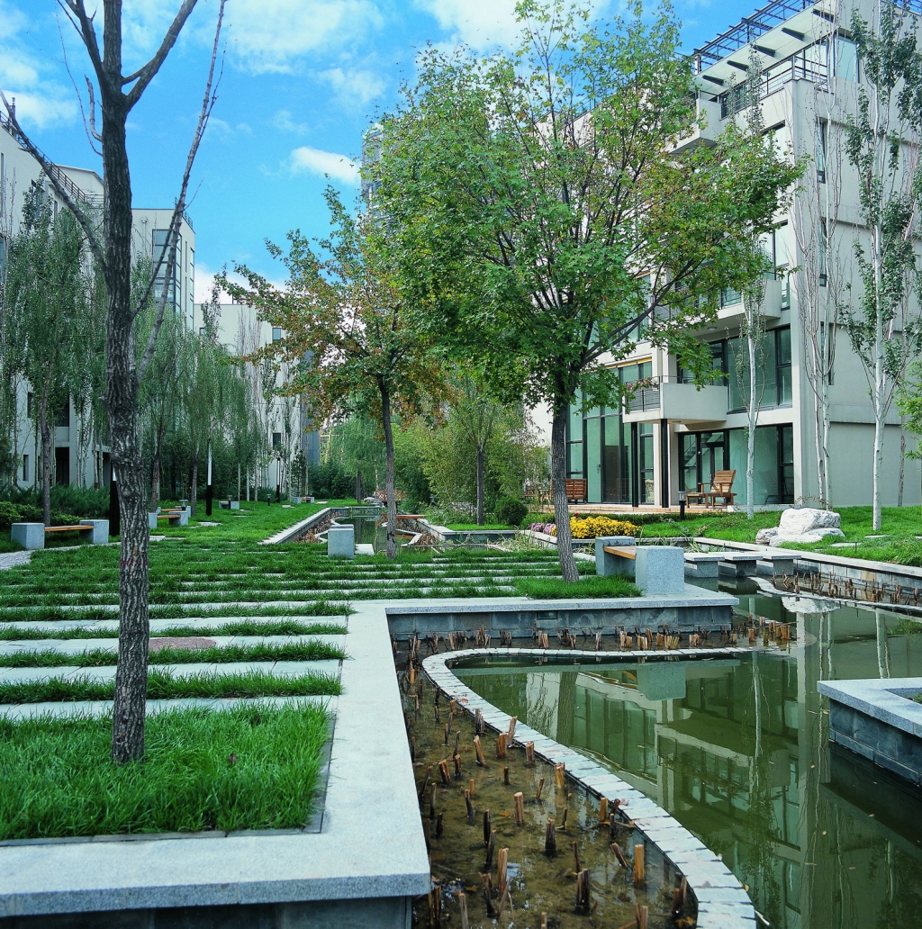 339853_7.jpg.jpg