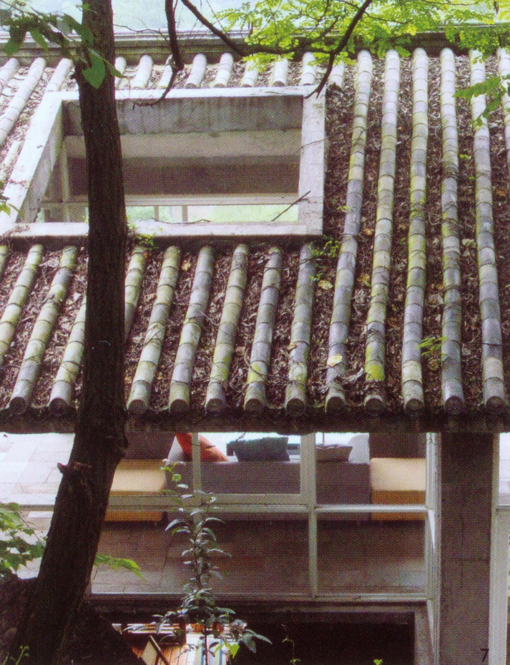 166192_18.jpg.jpg