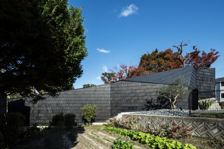 resize,w_760.jpg