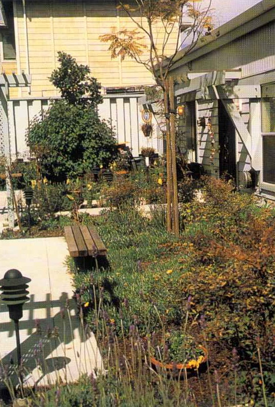73038_3.jpg.jpg