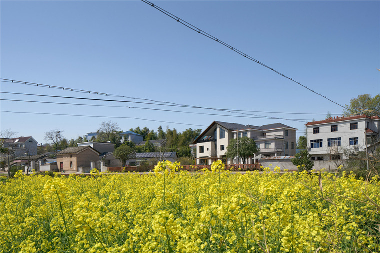 resize,w_760.jpg