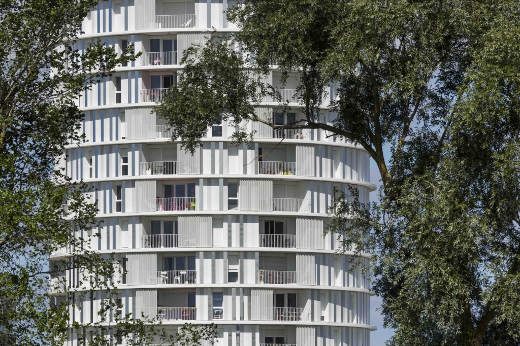 T1oBLTBvKT1RCvBVdK.jpg.jpg