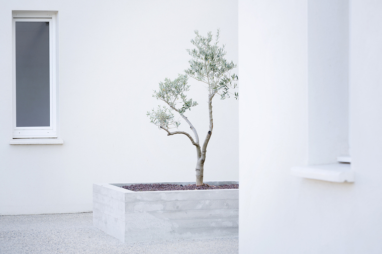 resize,w_760.jpg
